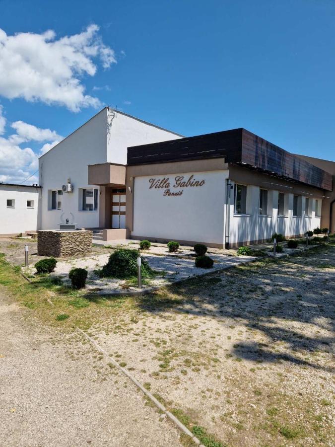 Villa Gabino Balatonbereny Bagian luar foto