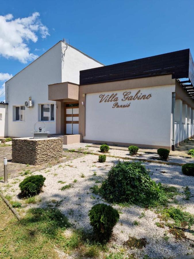 Villa Gabino Balatonbereny Bagian luar foto